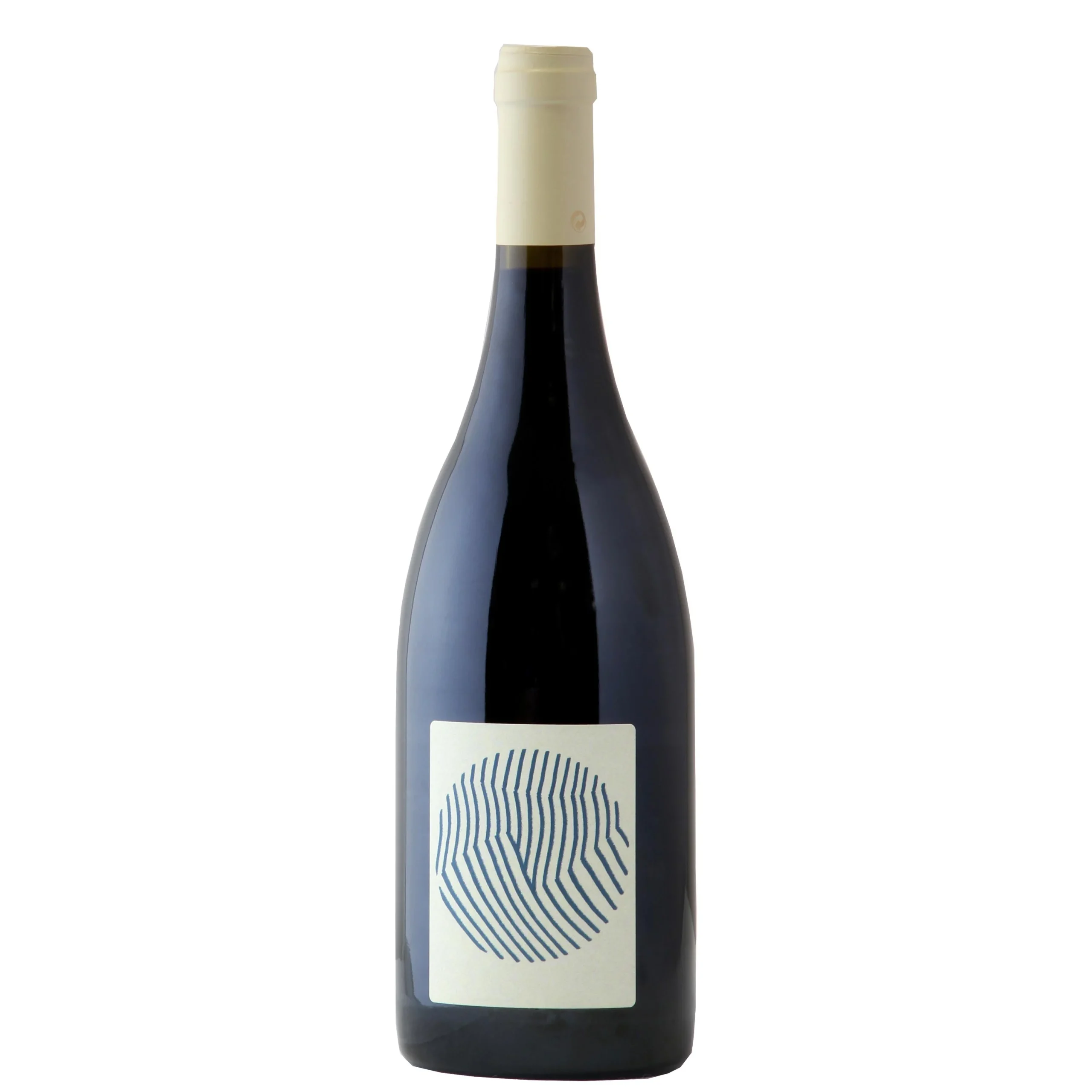 Saumur-Champigny "Beauregard" 2022 - Domaine Des Sanzay
