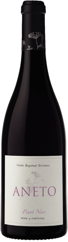 Aneto Pinot Noir Tinto - Garrafinhas