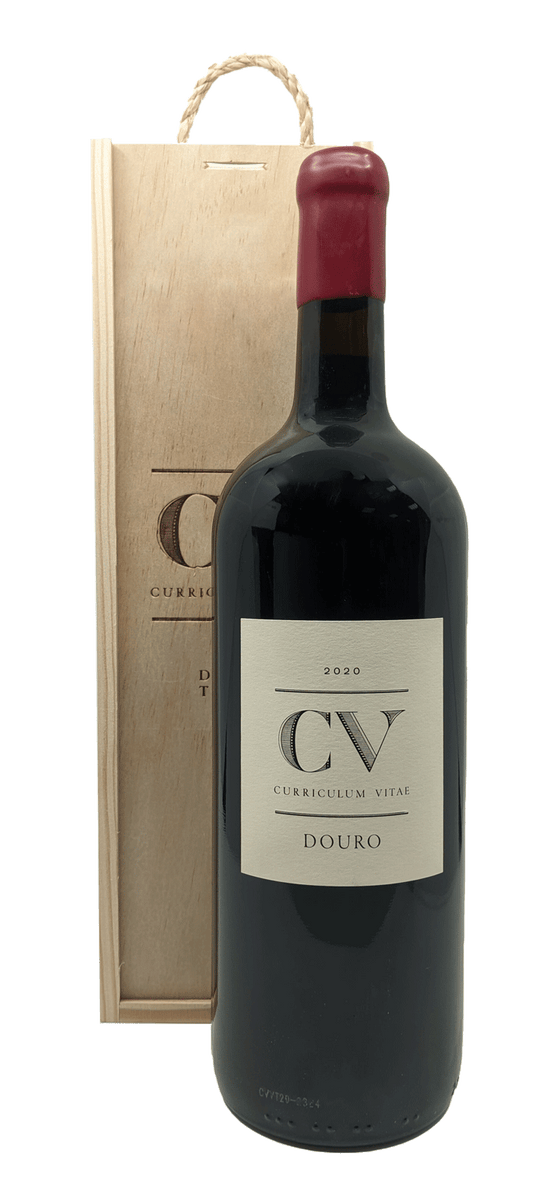 Cv-curriculum Vitae Tinto Magnum