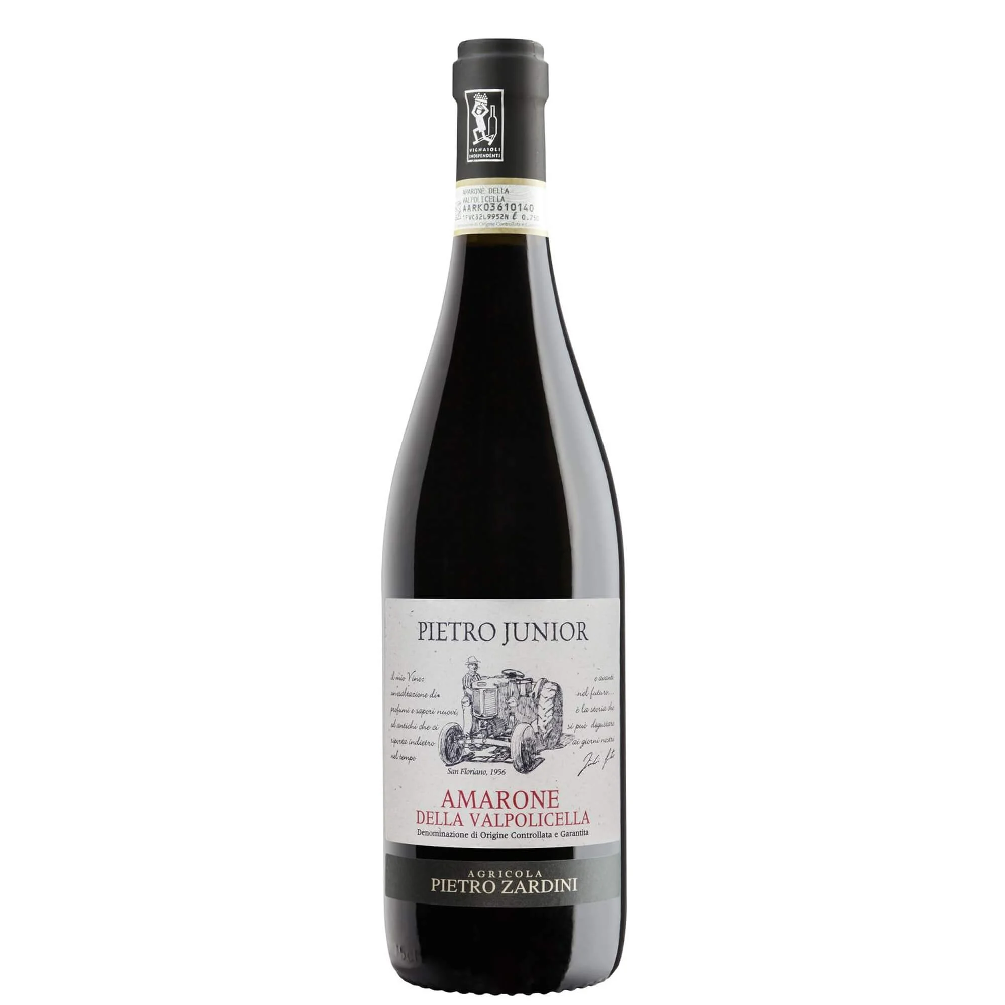 Amarone della Valpolicella Classico DOCG "Pietro Junior" 2021 - Pietro Zardini
