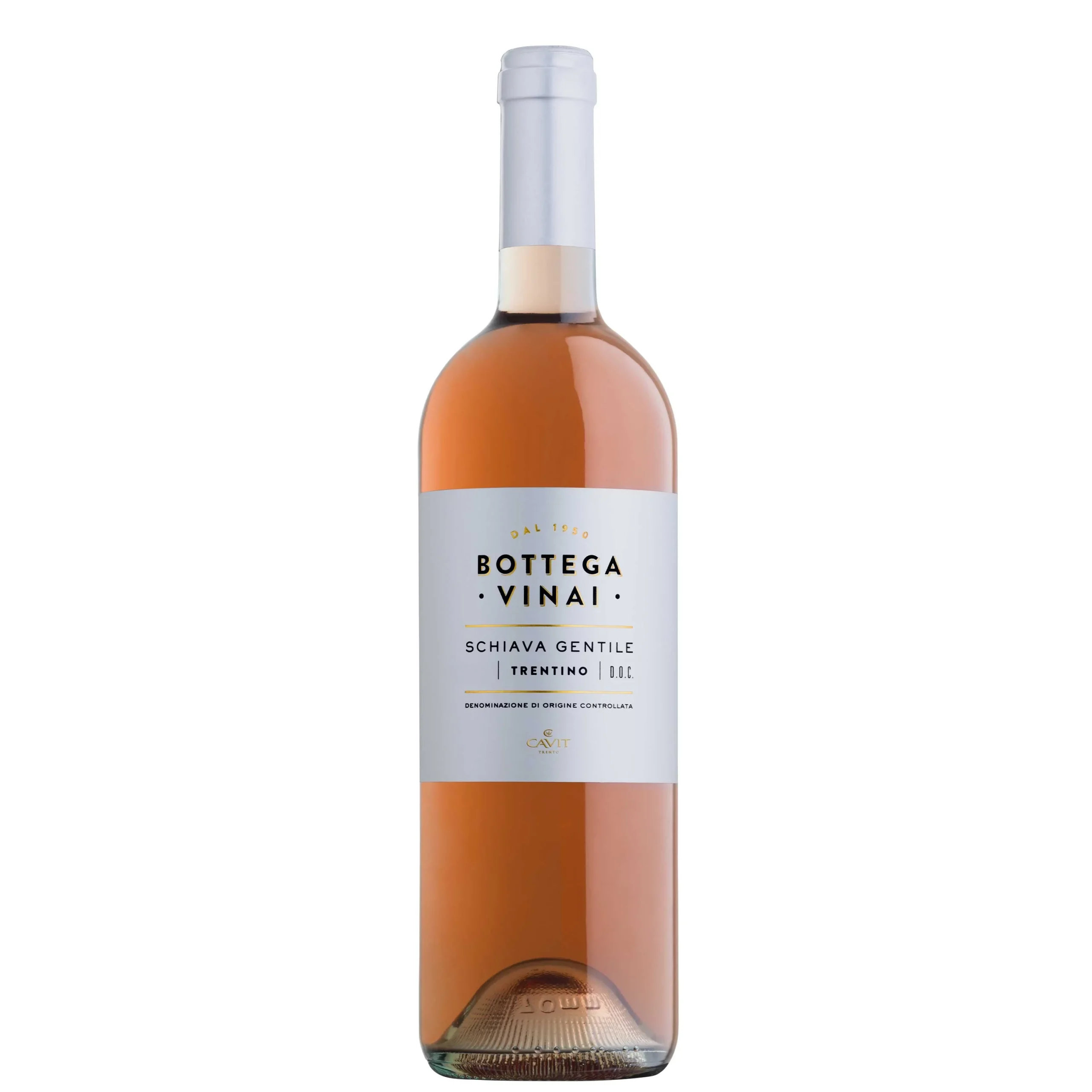 Trentino DOC Schiava Gentile 2025 - Bottega Vinai
