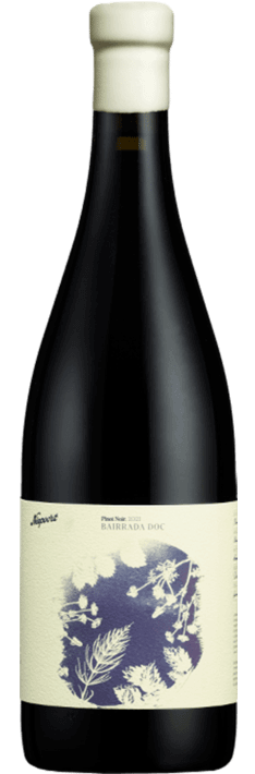 Bairrada Niepoort Pinot Noir Tinto - Garrafinhas