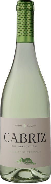 Cabriz Cosecha Seleccionada Blanco 2021 - Garrafinhas