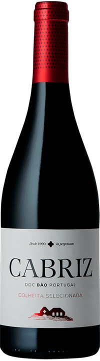 Cabriz Cosecha Seleccionada Tinto 2019 - Garrafinhas