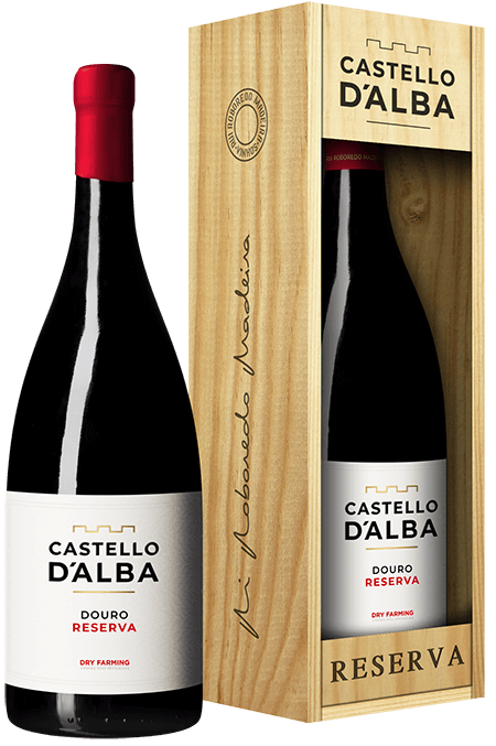 Castello D'alba Reserva Tinto Magnum 2022 - Garrafinhas