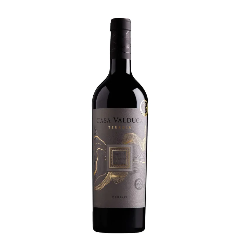 CASA VALDUGA Terroir Merlot 2020 - Bodega Casa Valduga