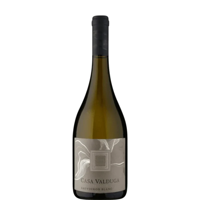 CASA VALDUGA Terroir Savignon Blanc 2022 - Bodega Casa Valduga