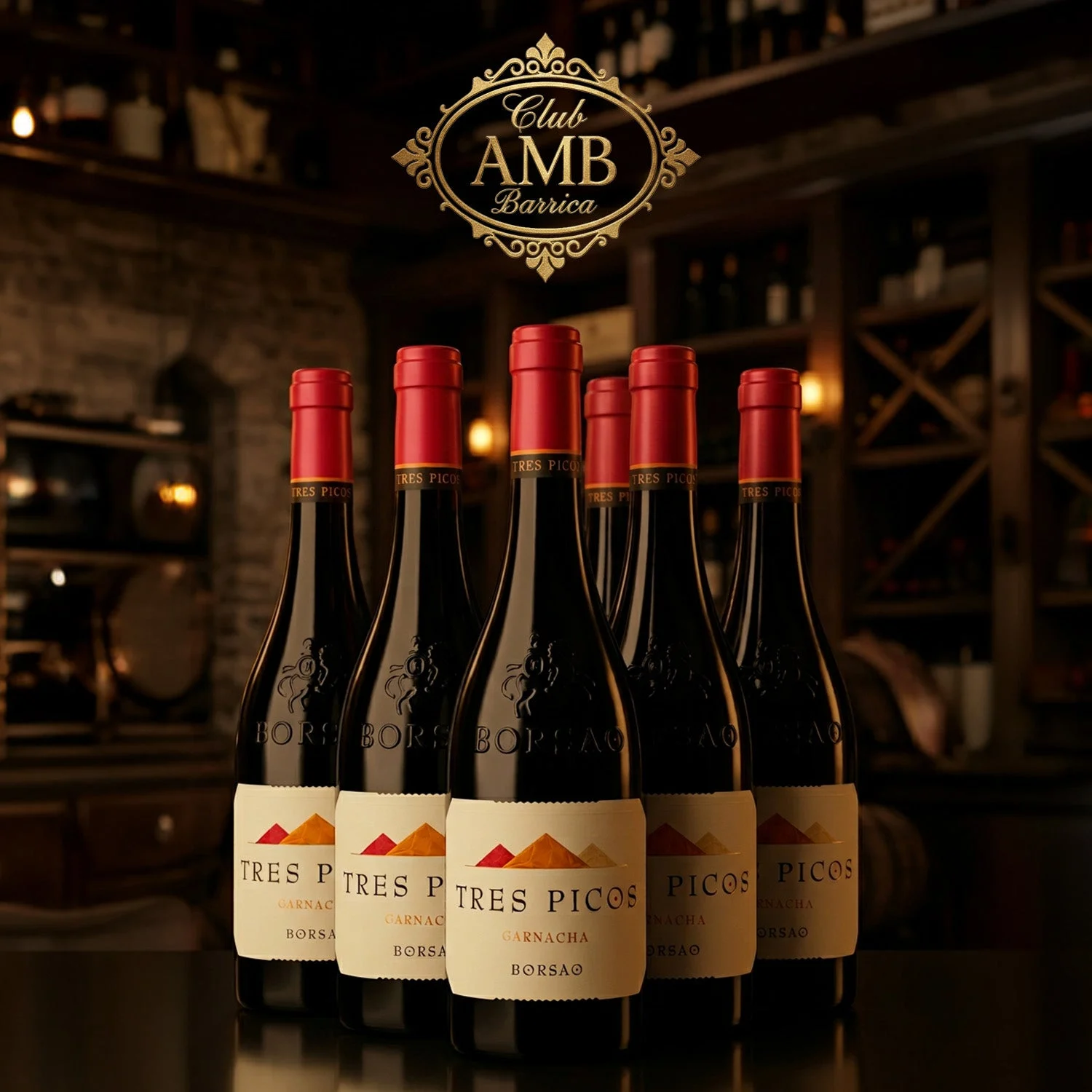 CLUB AMB BARRICA - MAYO
