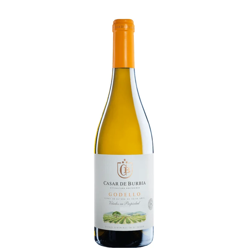 CASAR DE BURBIA Godello 2023