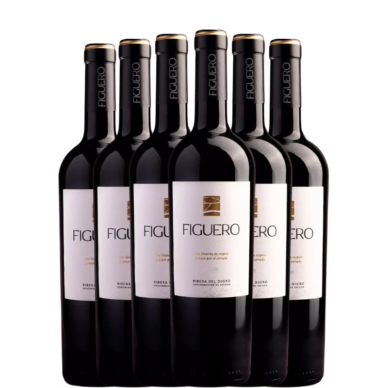 FIGUERO 12 MESES Crianza 2022 x6 botellas - Bodegas Figuero