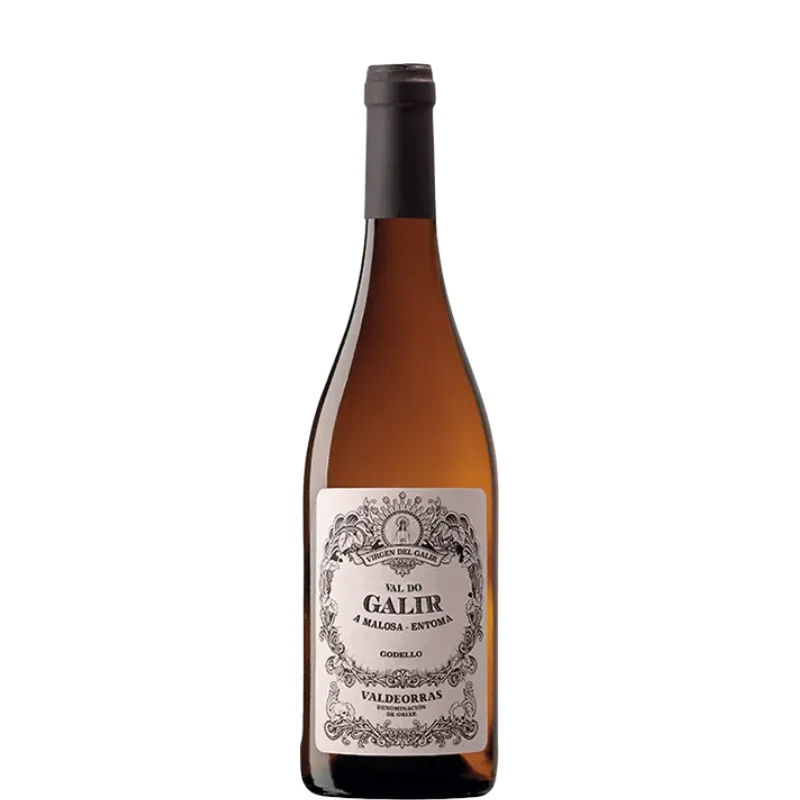 VAL DO GALIR 2023 - Bodegas CVNE