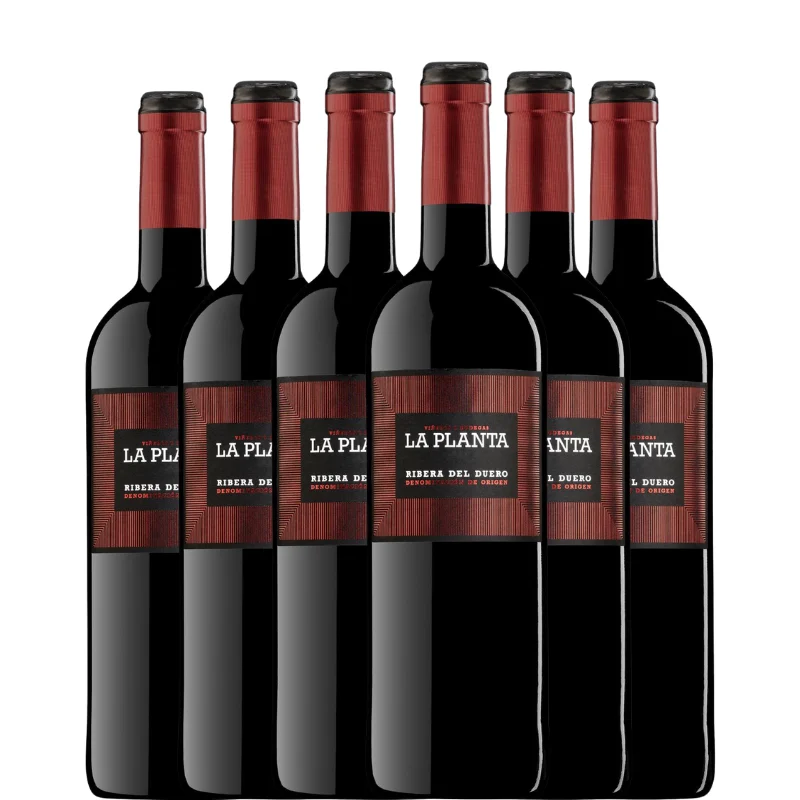 LA PLANTA 2024 x6 botellas - Bodegas Arzuaga