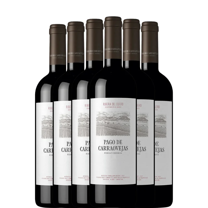 PAGO DE CARRAOVEJAS 2023 x6 botellas