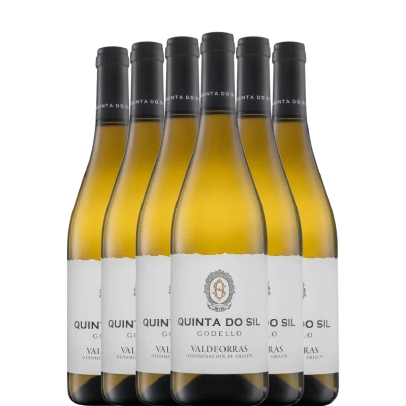 QUINTA DO SIL 2024 x6 botellas - Bodega Granbazán