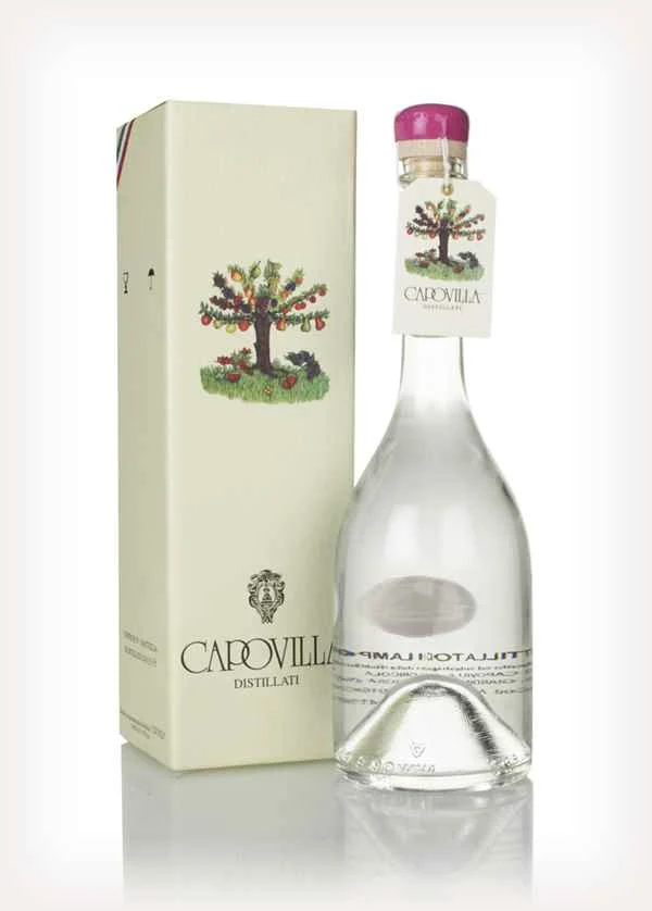 Capovilla Distillato di Lamponi Selvatici Brandy | 500ML