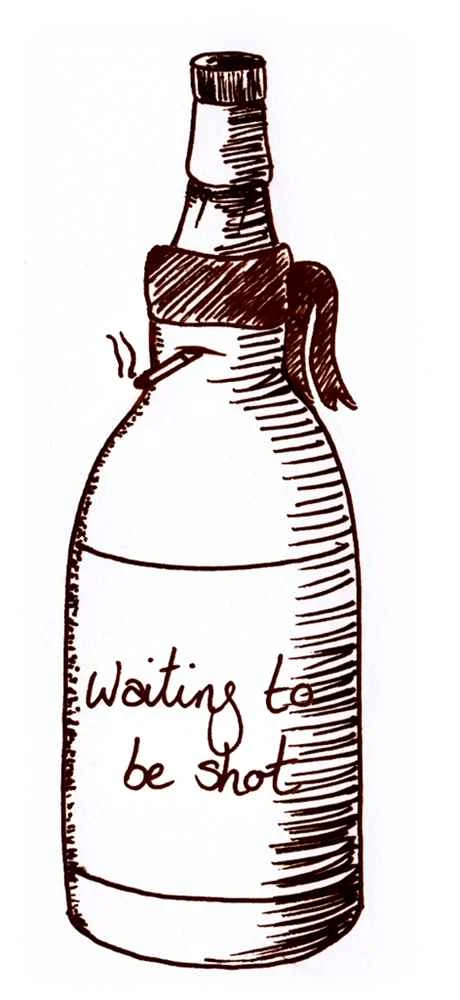 Toschi Mirtilli (Wild Blueberry) Liqueur | 500ML